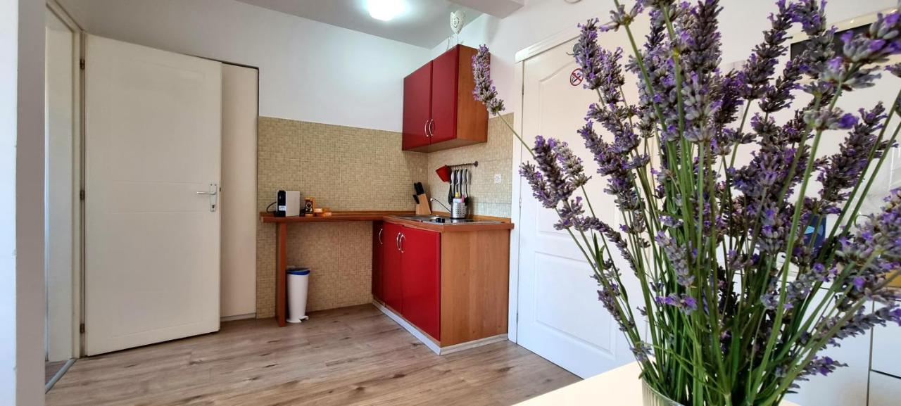 Tiny Studio Big Living Ровинь Экстерьер фото