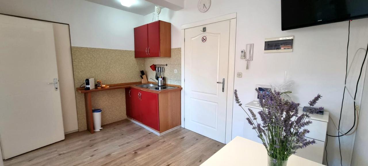 Tiny Studio Big Living Ровинь Экстерьер фото